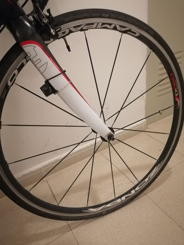 Bicicleta Carretera Focus Cayo