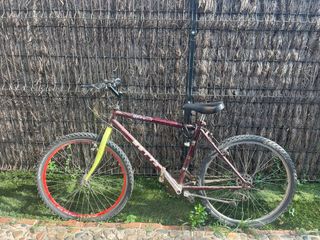 Bicicleta montaña clásica
