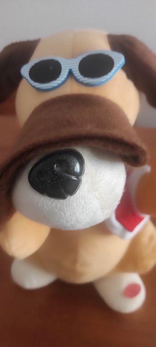 Peluche cane  balla e canta 