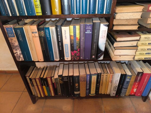 Librería madera antigua con más de 100 libros