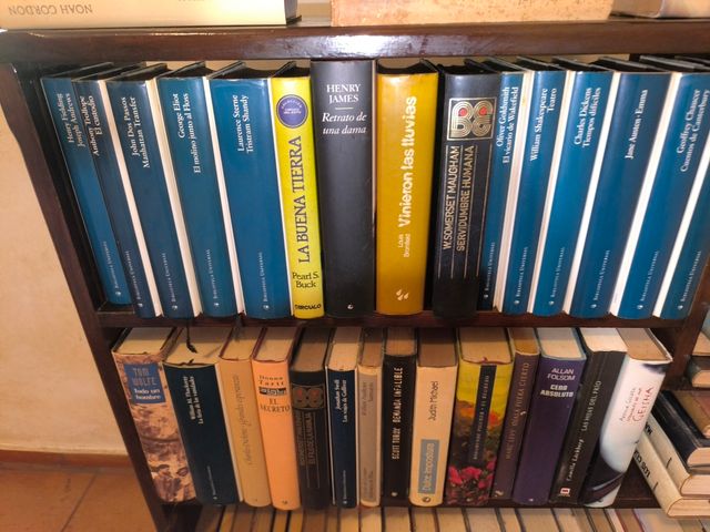 Librería madera antigua con más de 100 libros