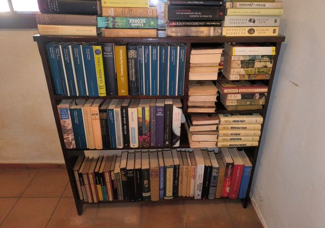 Librería madera antigua con más de 100 libros