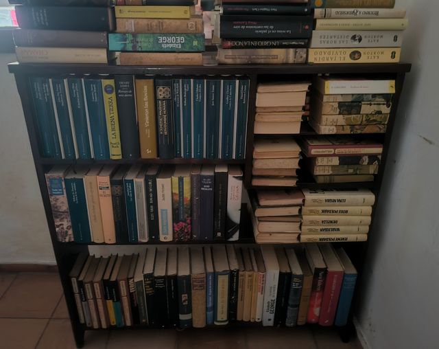 Librería madera antigua con más de 100 libros