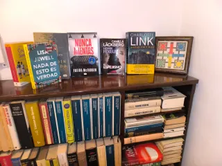 Librería madera antigua. He añadido más libros.