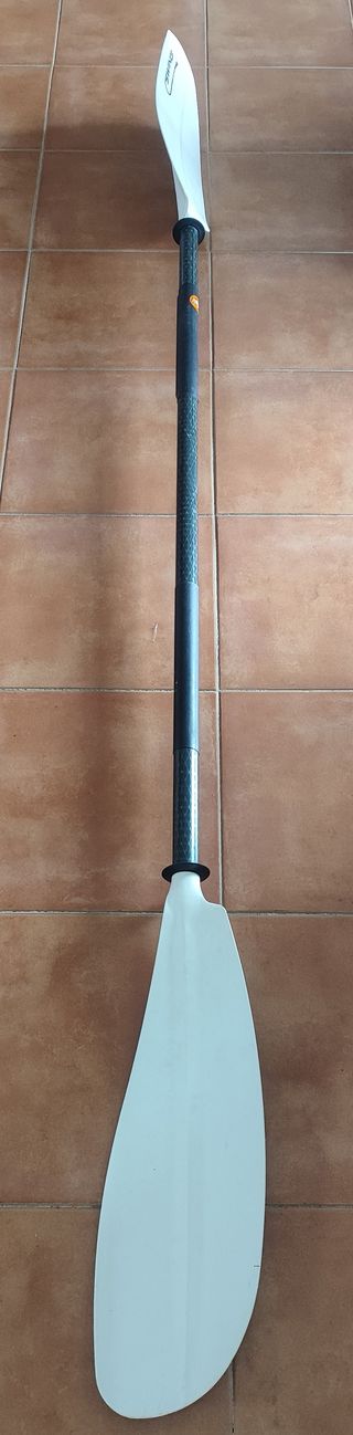 Remo Egalis Swing Carbono