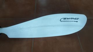 Remo Egalis Swing Carbono