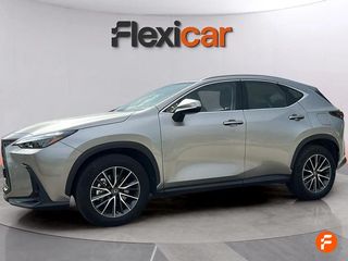 Lexus NX 350h Business City 2WD