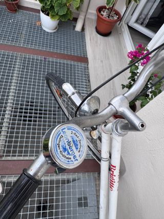 Bicicleta Puch Brigitte  3V