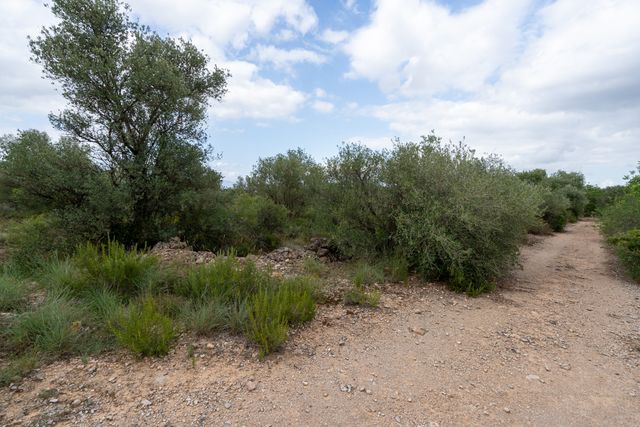 Finca urbana sin edificación. Hay agua de riego.