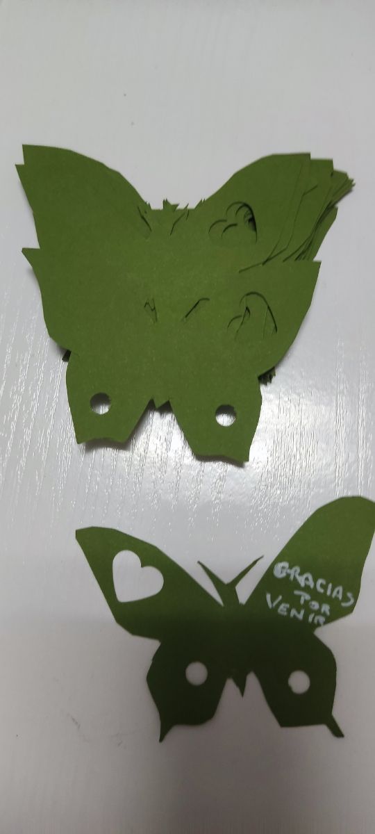 Lote, Plumas verdes y lazos blanco 