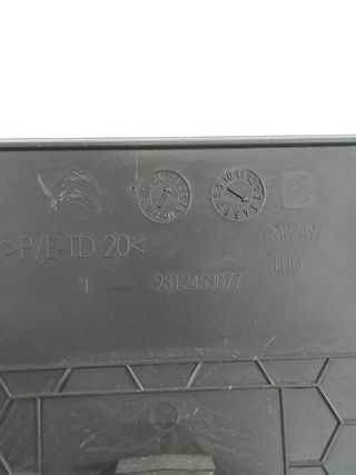 PLASTICO INTERIOR CITROEN C3 (4)