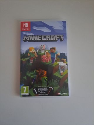 Minecraft Nintendo Switch
