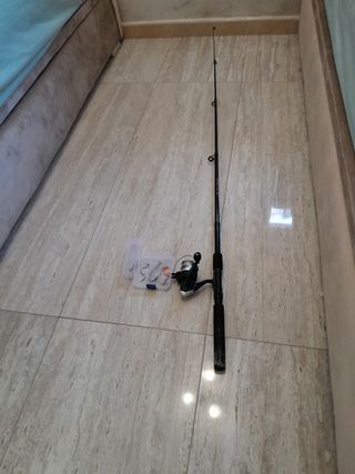 Caña de pescar + Reel