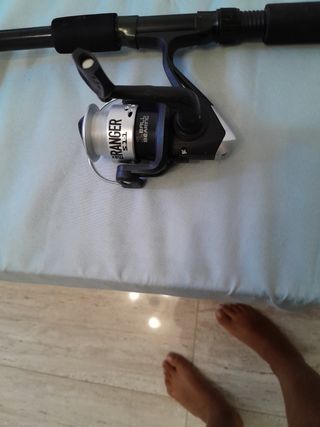 Caña de pescar + Reel