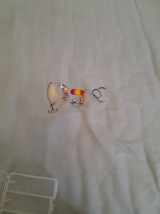 Caña de pescar + Reel
