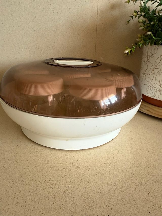 Yogurtera Moulinex vintage