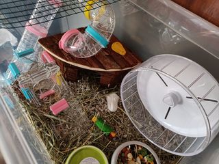 Jaula hamster + pack accesorios y consumibles