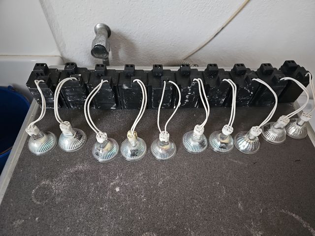 10 lampadine alogene + trasformatori.