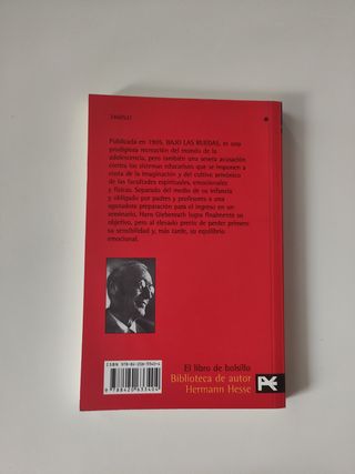 Bajo las ruedas