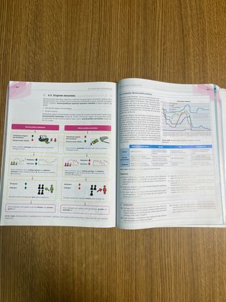 Ekonomia 1 BACH EUSKADI. Libro del alumno.