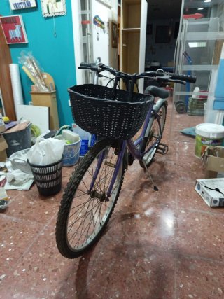 Bicicleta holandesa mujer paseo con cesta