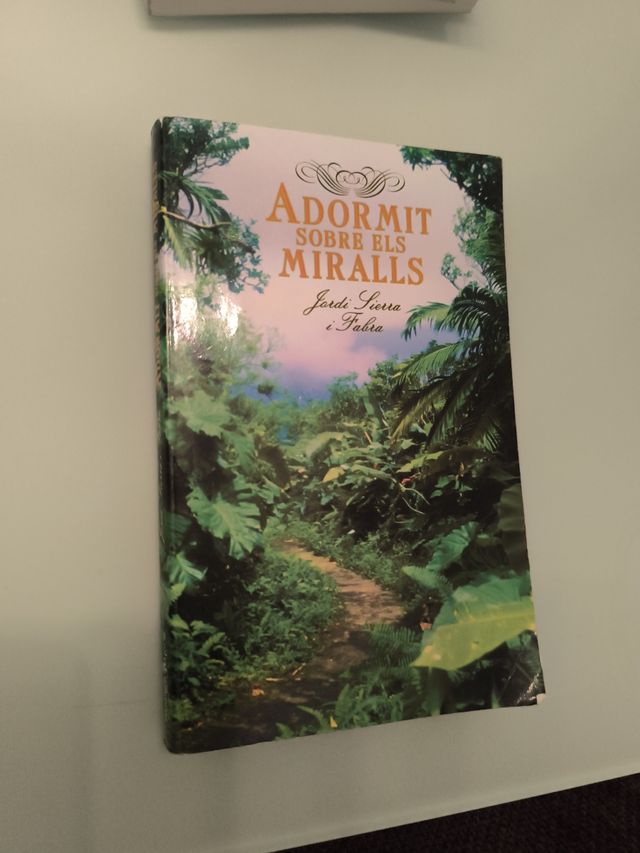 Adormit sobre els miralls