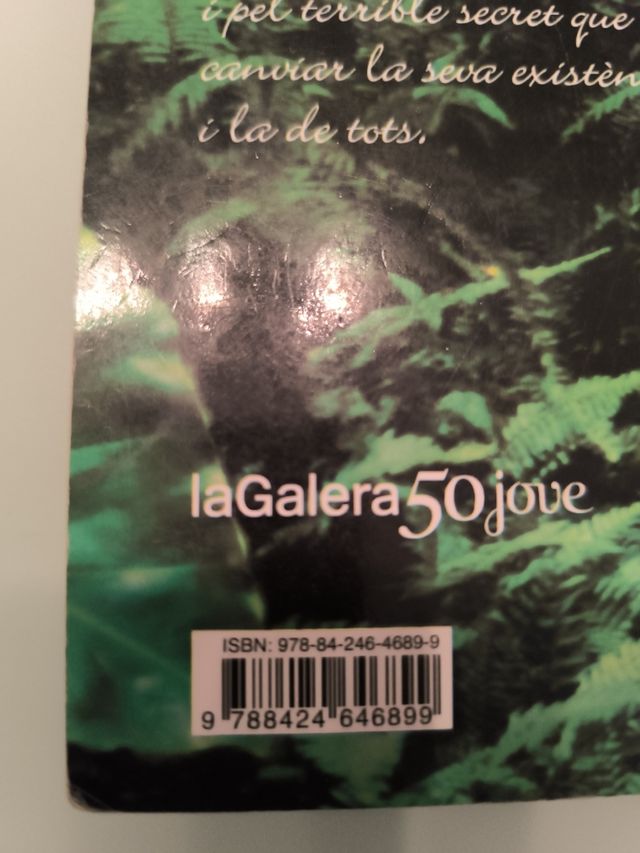 Adormit sobre els miralls