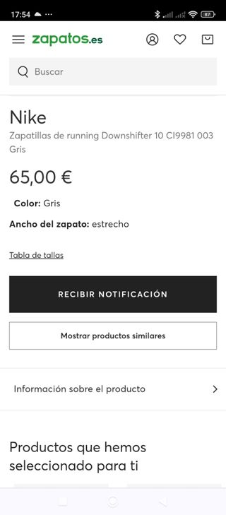 Zapatillas Nike Downshifter 10 Gris