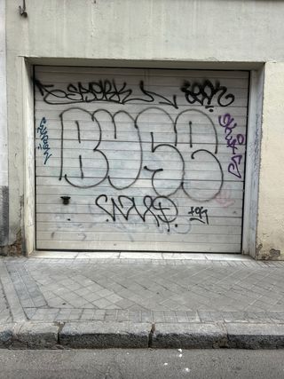 Puerta garaje automática - Seccional