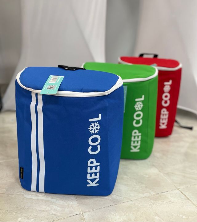 Mochila Isotermica - Azul y Verde