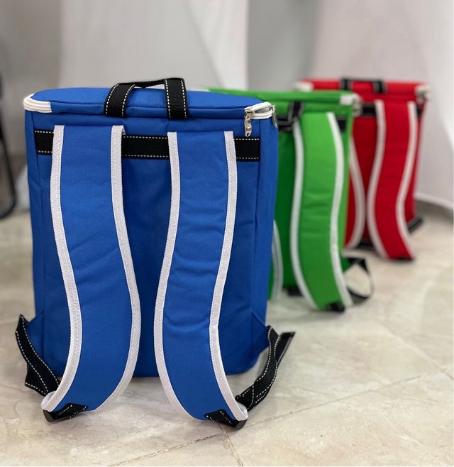 Mochila Isotermica - Azul y Verde