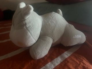 Peluches musicales: hipopótamo y oso