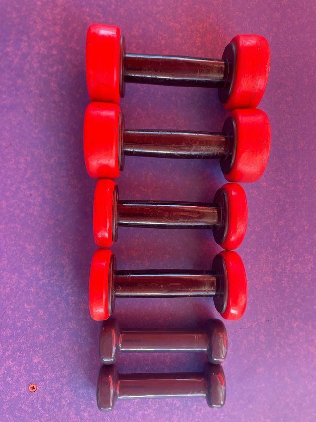 Mancuernas Salter y Decathlon