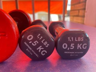 Mancuernas Salter y Decathlon