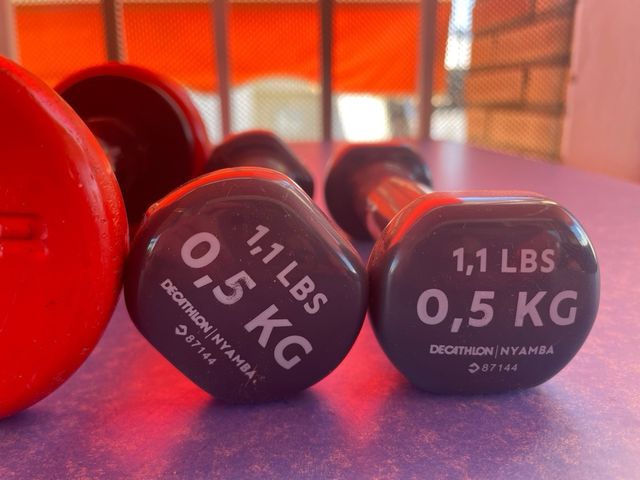 Mancuernas Salter y Decathlon