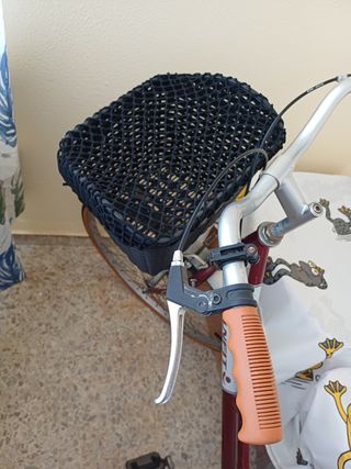 Bicicleta paseo vintage