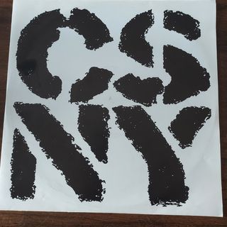 LP CSNY Looking Forward