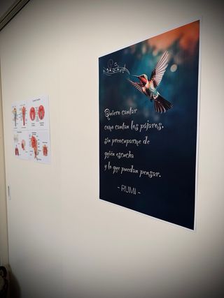 Clases de canto personalizadas