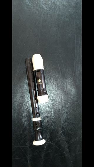 Flauta de plástico y funda