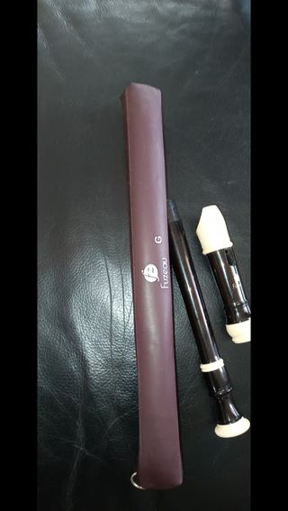 Flauta de plástico y funda