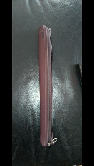 Flauta de plástico y funda