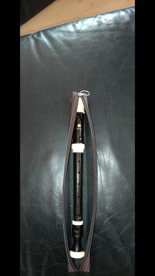 Flauta de plástico y funda