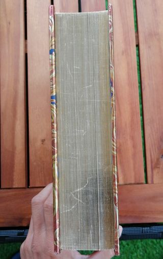 Libros Gerónimo Stilton (Edición Especial Dorada)