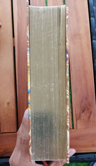 Libros Gerónimo Stilton (Edición Especial Dorada)