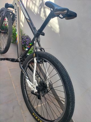 Bicicleta Orbea montaña