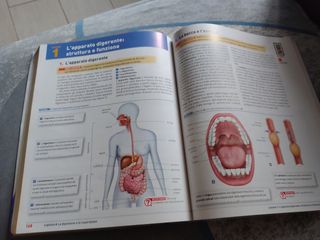 Biologia. Cellula, corpo umano, evoluzione