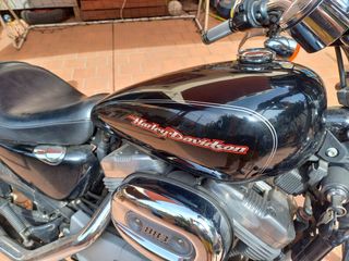 Harley Davidson 883 Custom