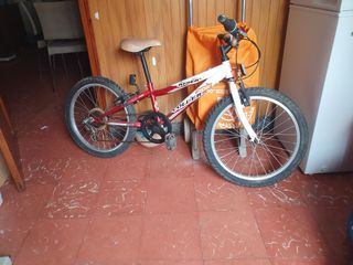 Bicicleta montaña