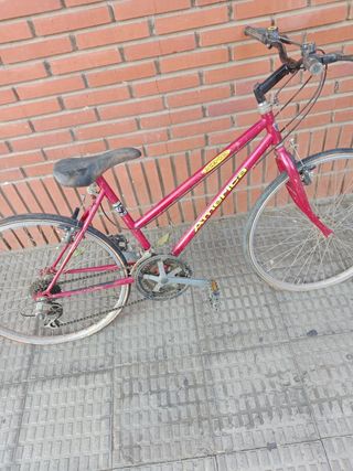 Bicicleta America X810