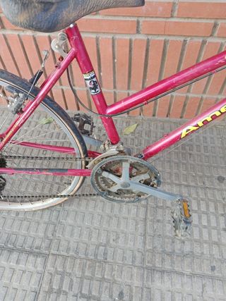 Bicicleta America X810